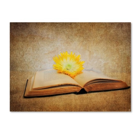 Jai Johnson 'The Joy Of Reading' Canvas Art,35x47